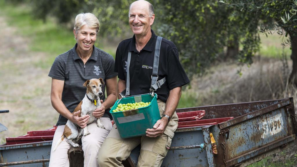 Into the Olive Grove with Salute Oliva