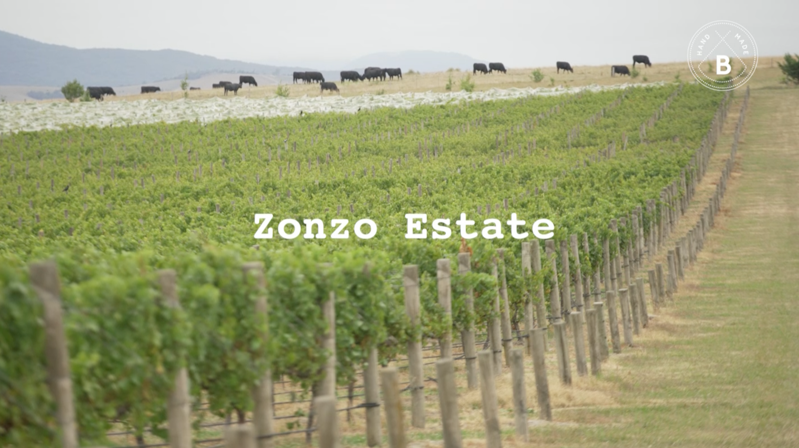 Meet the Makers - Featuring Zonzo Estate