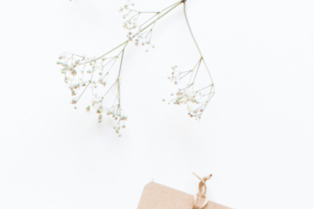 Beige tag with a letter 'B' for Bindle on a white background