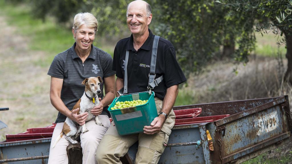 Into the Olive Grove with Salute Oliva