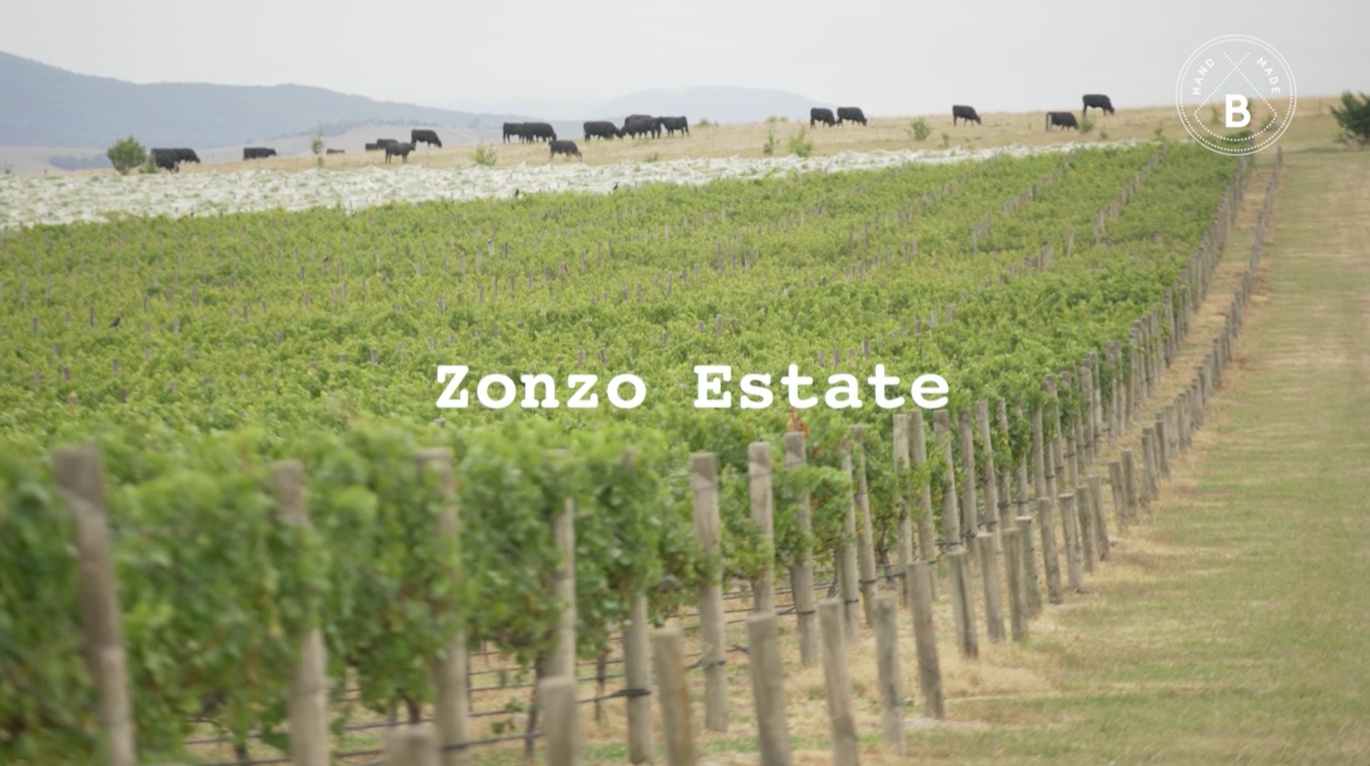 Meet the Makers - Featuring Zonzo Estate
